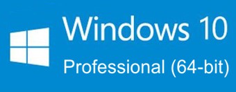 Windows 10 pro logo